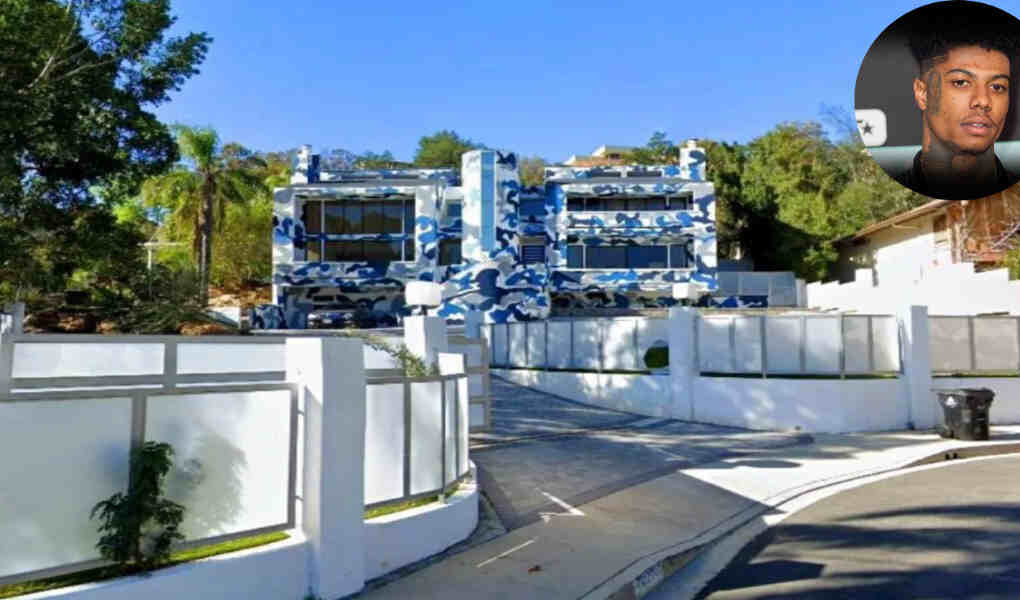 Blue Face Camo House